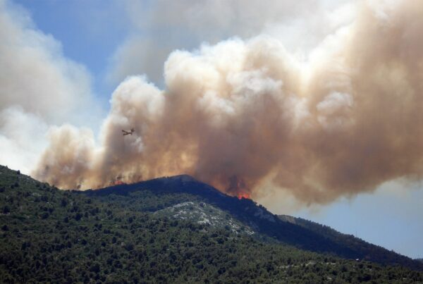 wildfire